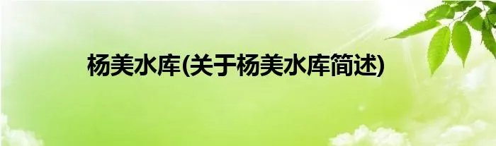 杨美水库(关于杨美水库简述)