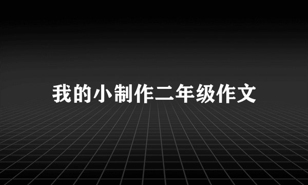 我的小制作二年级作文
