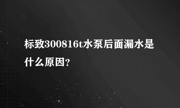标致300816t水泵后面漏水是什么原因？