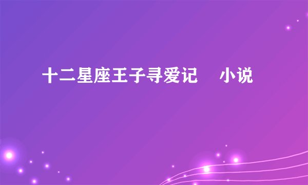 十二星座王子寻爱记    小说