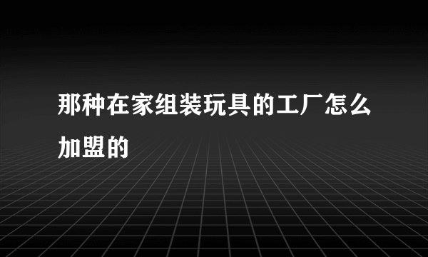 那种在家组装玩具的工厂怎么加盟的