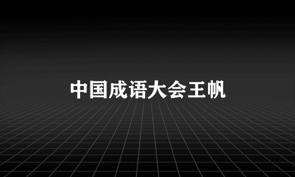 中国成语大会王帆