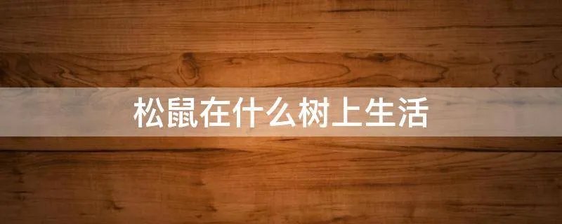 松鼠在什么树上生活