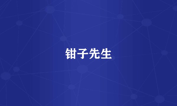 钳子先生