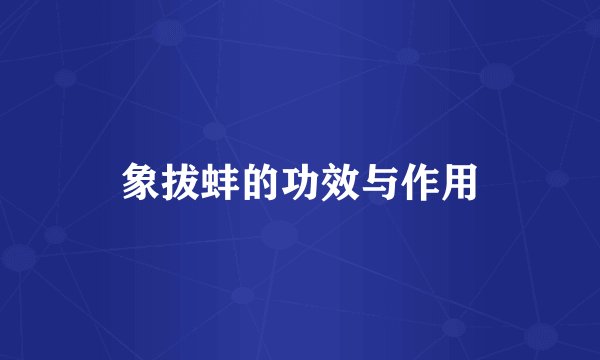 象拔蚌的功效与作用