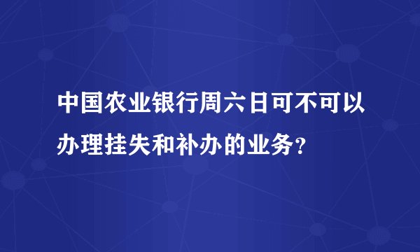 中国农业银行周六日可不可以办理挂失和补办的业务？