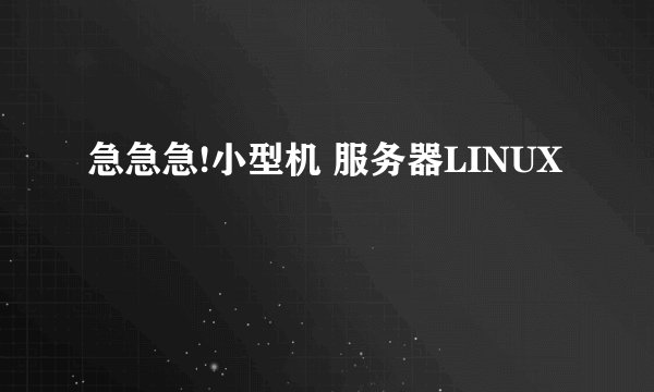 急急急!小型机 服务器LINUX