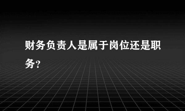 财务负责人是属于岗位还是职务？