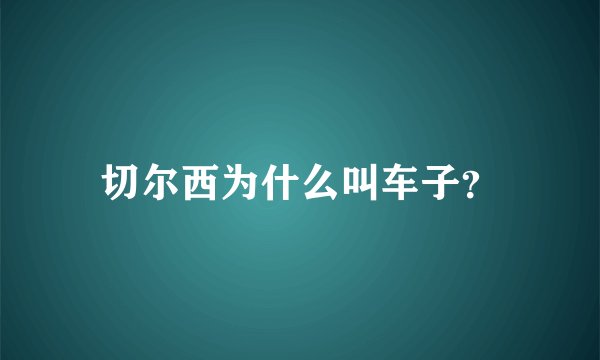 切尔西为什么叫车子？