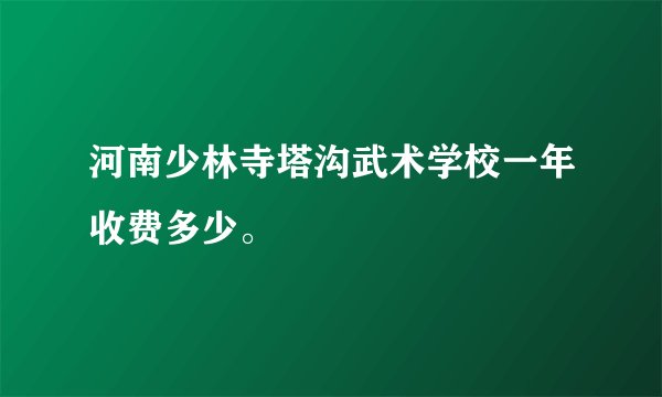 河南少林寺塔沟武术学校一年收费多少。