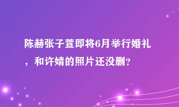 陈赫张子萱即将6月举行婚礼，和许婧的照片还没删？