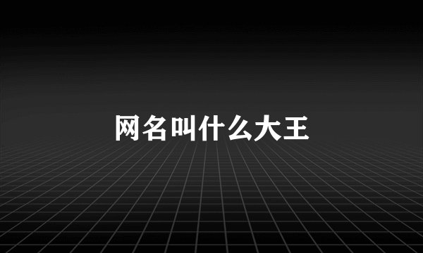 网名叫什么大王