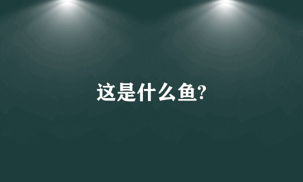 这是什么鱼?