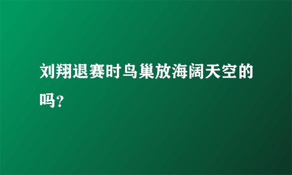刘翔退赛时鸟巢放海阔天空的吗?