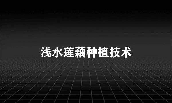 浅水莲藕种植技术