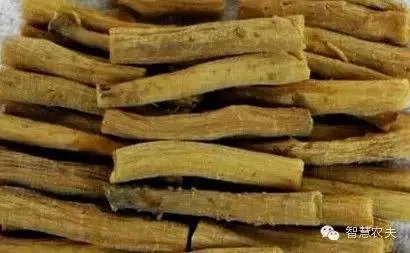 现在种植什么药材能够赚钱?