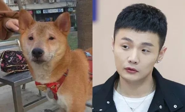 李荣浩说同事给他拍的照片像村痞，李荣浩当时心情怎么样？