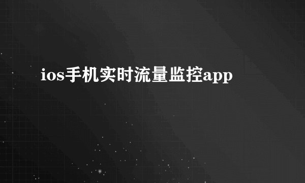 ios手机实时流量监控app