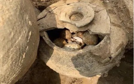 溧阳发现春秋古墓,出土2500年鸡蛋,究竟有什么价值?