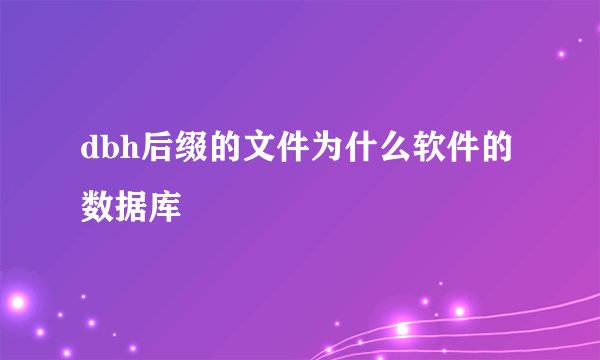 dbh后缀的文件为什么软件的数据库