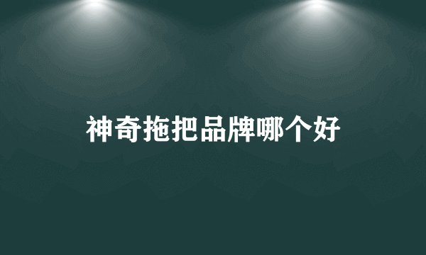 神奇拖把品牌哪个好