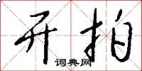 开拍