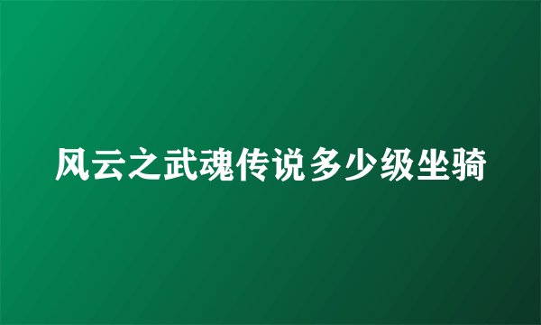 风云之武魂传说多少级坐骑
