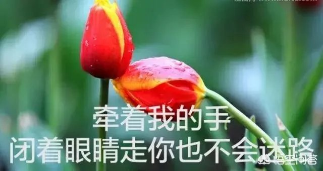 有什么惊艳的句子?