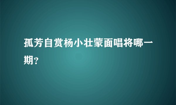孤芳自赏杨小壮蒙面唱将哪一期？