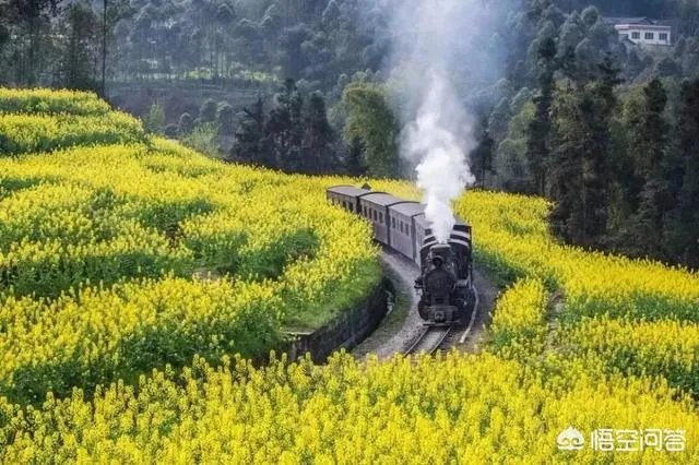 你觉得国内哪些旅游景点是摄影创作团队最爱去的?