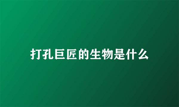 打孔巨匠的生物是什么