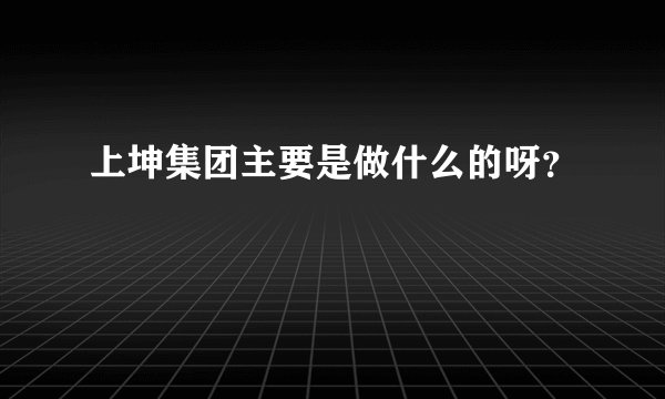上坤集团主要是做什么的呀？