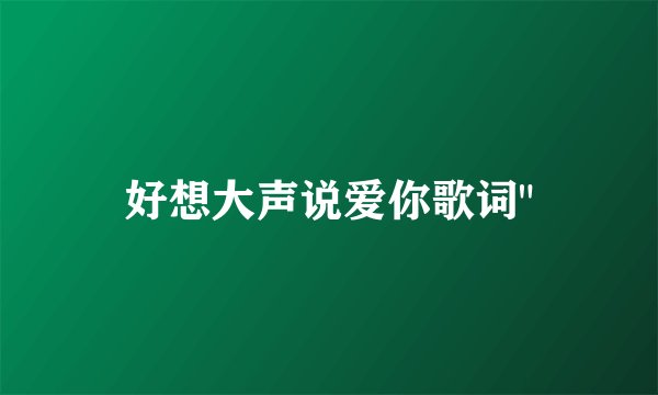好想大声说爱你歌词