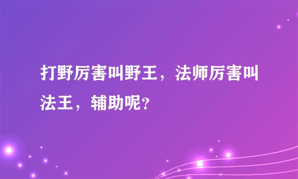 打野厉害叫野王,法师厉害叫法王,辅助呢?