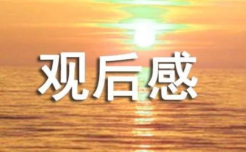 中华骄傲观后感