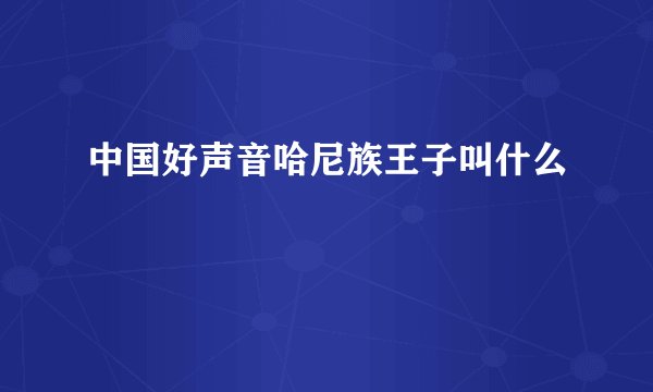 中国好声音哈尼族王子叫什么