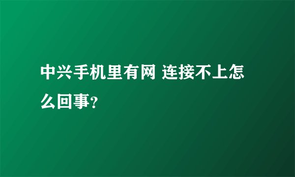中兴手机里有网 连接不上怎么回事?