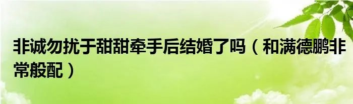 非诚勿扰于甜甜牵手后结婚了吗（和满德鹏非常般配）
