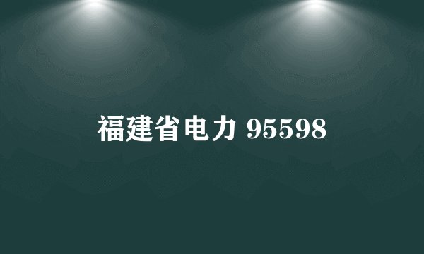 福建省电力 95598