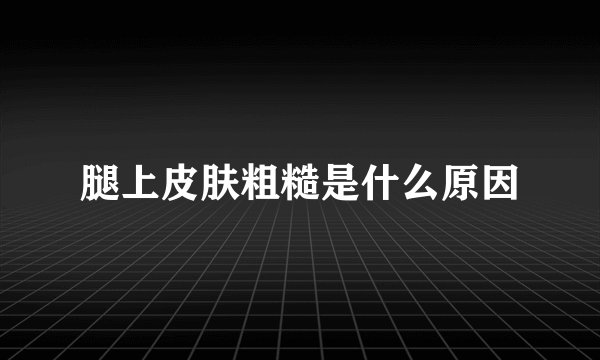 腿上皮肤粗糙是什么原因