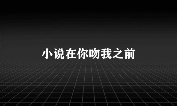 小说在你吻我之前