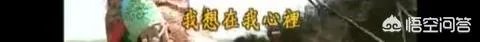 《还珠格格》的尔泰喜欢小燕子吗?