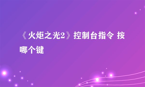 《火炬之光2》控制台指令 按哪个键