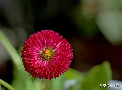 求好听的唯美的相册名称?