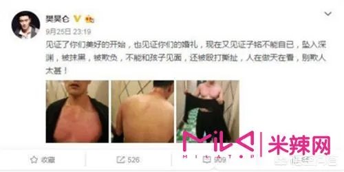 怎么评价何洁离婚事件?