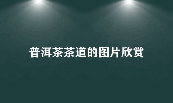 普洱茶茶道的图片欣赏