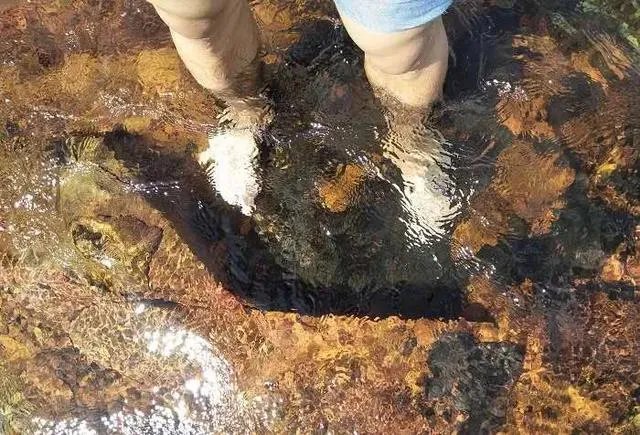 想去惠州看海，哪里海边比较好，附近的酒店性价比怎么样？