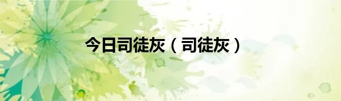 今日司徒灰（司徒灰）