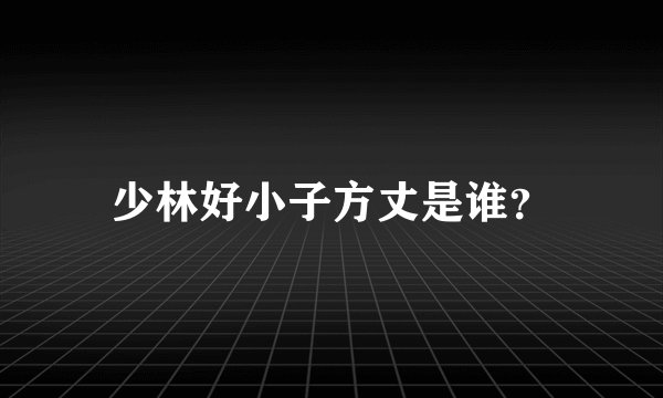 少林好小子方丈是谁？