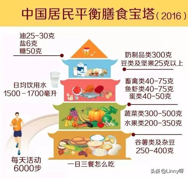 晚餐吃什么即健康又减肥?